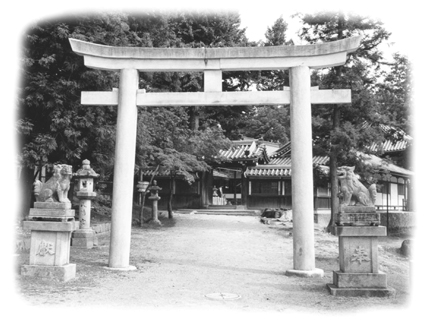 Torii